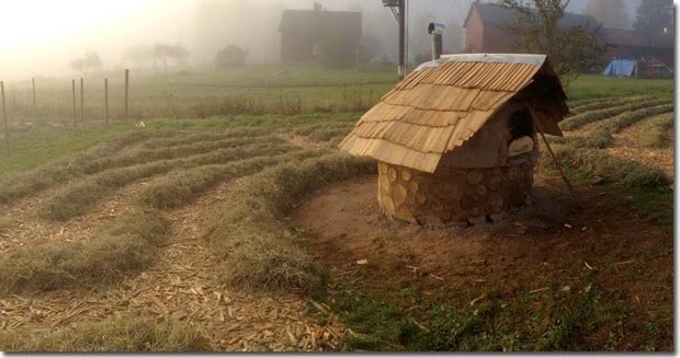 Setting-Permaculture-Farm-39
