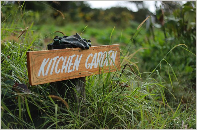 Kitchen-Garden-Zaytuna-Farm-article