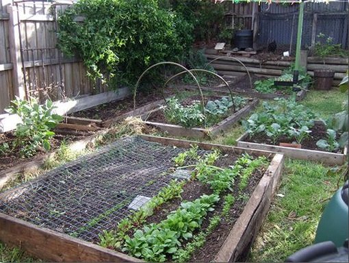 The Benefits of Building a Raised Bed Garden. - The Permaculture ...