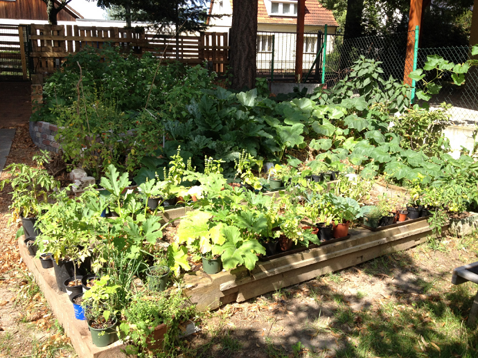 Urban Permaculture Transformation - The Permaculture Research Institute