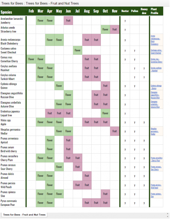 Hazelnut Pollination Chart