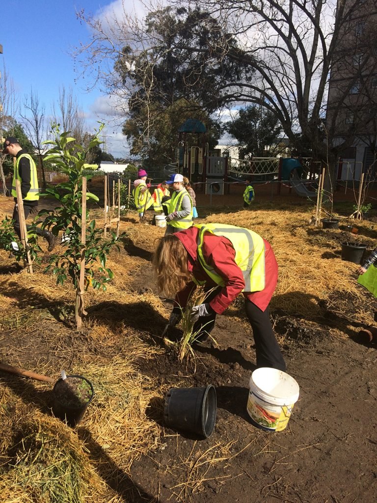 First Community Food Forest in the City of Melbourne - The Permaculture ...