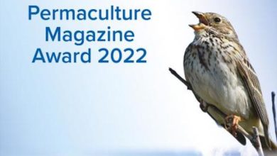 Perm Mag Award 2022 Feature