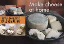 Make Cheese at home
